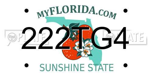 222TG4 Florida License Plate