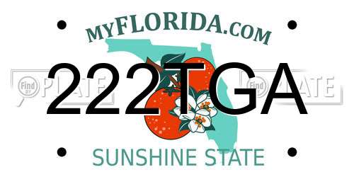 222TGA Florida License Plate