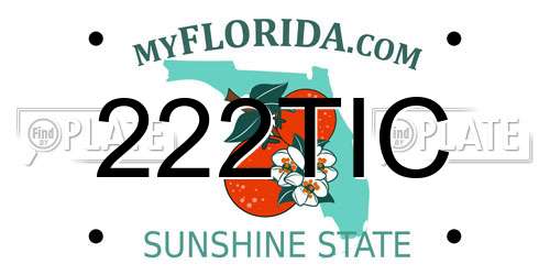 222TIC Florida License Plate