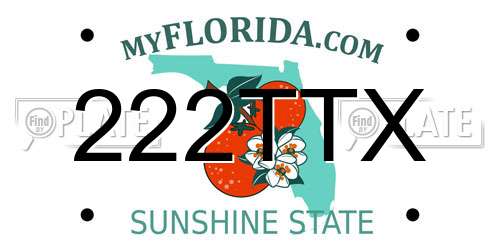 222TTX Florida License Plate
