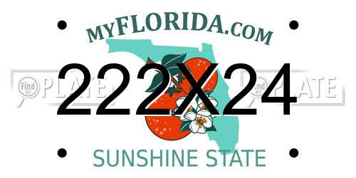 222X24 Florida License Plate