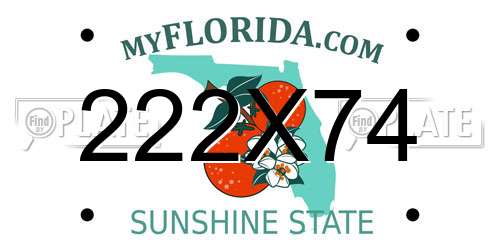 222X74 Florida License Plate