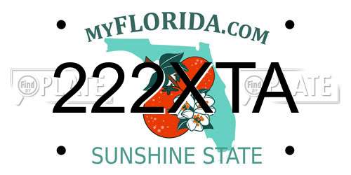 222XTA Florida License Plate