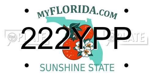 222YPP Florida License Plate