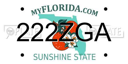 222ZGA Florida License Plate
