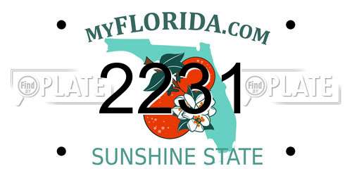 2231 Florida License Plate