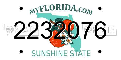 2232076 Florida License Plate