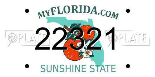 22321 Florida License Plate