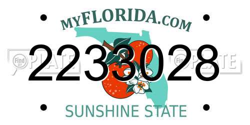 2233028 Florida License Plate