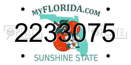 2233075 Florida License Plate