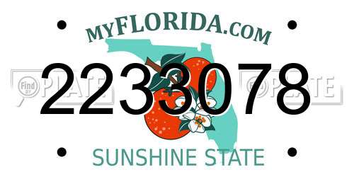 2233078 Florida License Plate