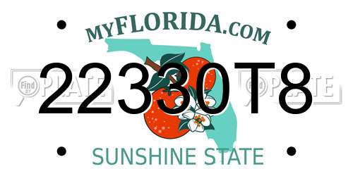 22330T8 Florida License Plate