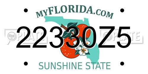 22330Z5 Florida License Plate
