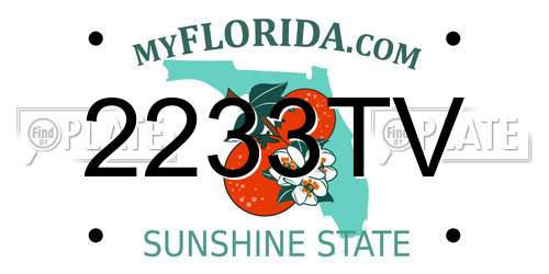 2233TV Florida License Plate