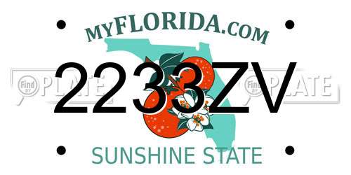 2233ZV Florida License Plate