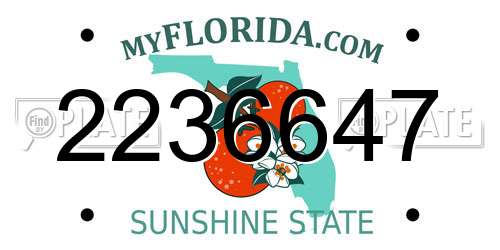 2236647 Florida License Plate