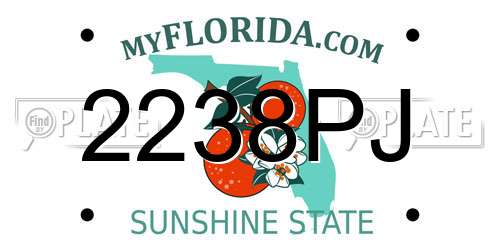 2238PJ Florida License Plate
