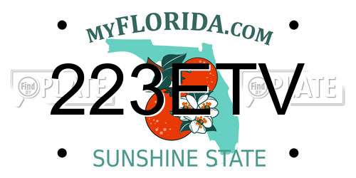 223ETV Florida License Plate