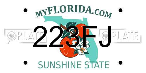 223FJ Florida License Plate