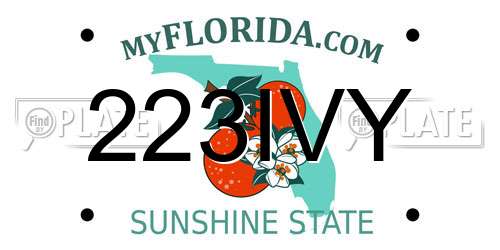 223IVY Florida License Plate