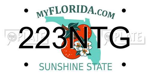 223NTG Florida License Plate