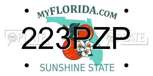 223PZP Florida License Plate