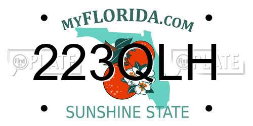 223QLH Florida License Plate