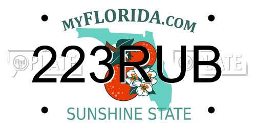 223RUB Florida License Plate
