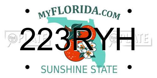 223RYH Florida License Plate