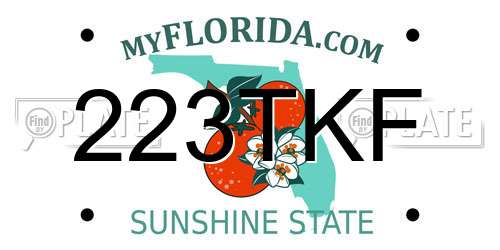 223TKF Florida License Plate