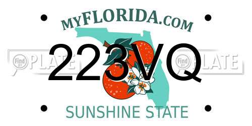 223VQ Florida License Plate