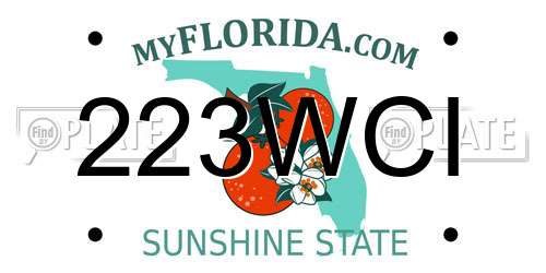 223WCI Florida License Plate