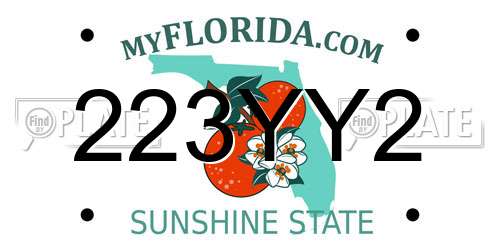 223YY2 Florida License Plate