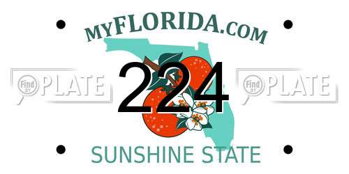 224 Florida License Plate