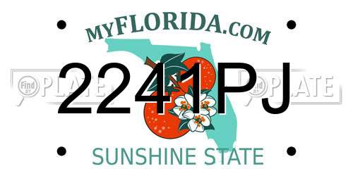 2241PJ Florida License Plate