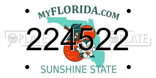 224522 Florida License Plate