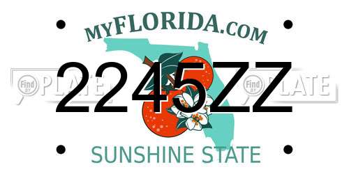 2245ZZ Florida License Plate