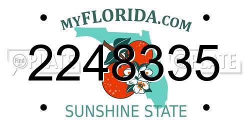 2248335 Florida License Plate