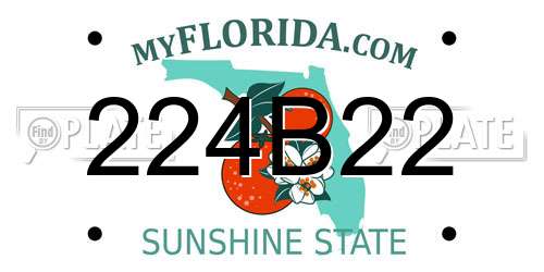 224B22 Florida License Plate