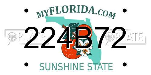 224B72 Florida License Plate