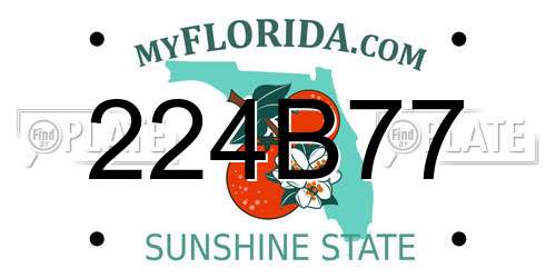 224B77 Florida License Plate