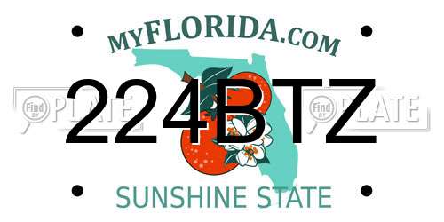 224BTZ Florida License Plate