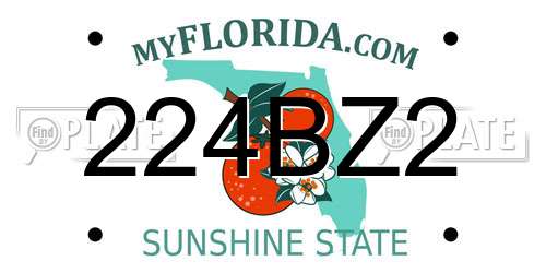 224BZ2 Florida License Plate