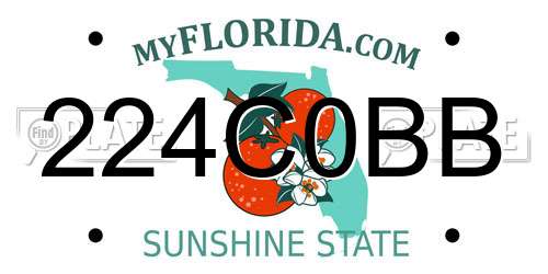 224C0BB Florida License Plate