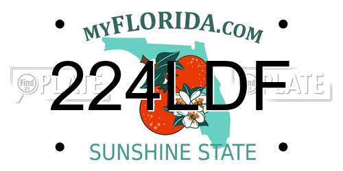 224LDF Florida License Plate