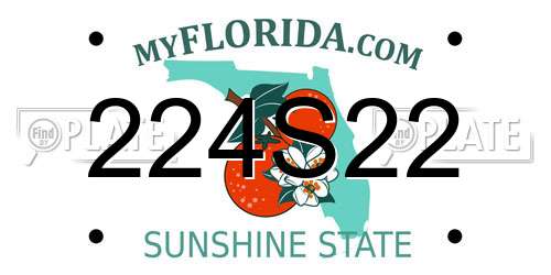 224S22 Florida License Plate
