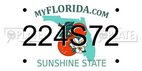 224S72 Florida License Plate