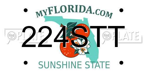 224STT Florida License Plate