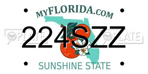 224SZZ Florida License Plate