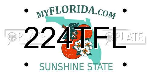 224TFL Florida License Plate